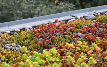 the cost of Cundy Hos green roof installation