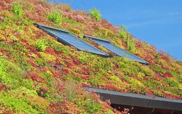 Cundy Hos living roof systems